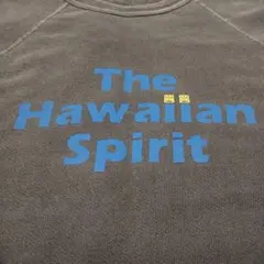 US古着 グッドオン　オールドサーフ　ヴィンテージスウェット　レア　ハワイアン