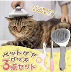 Item thumbnail for item a166f2f6-ab84-44ea-a166-f60f082892f8