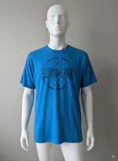 ARレア！Jellystone Park ルーレイ バージニア Tシャツ M