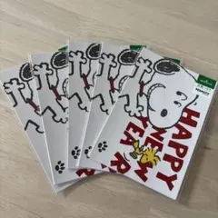 Hallmark PEANUTS 年賀ハガキ 3枚入り×5セット