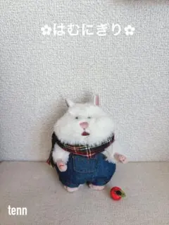 はむにぎり　アウトフィット