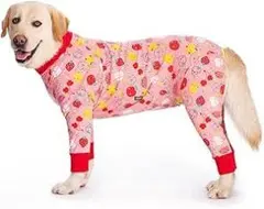 Item thumbnail for item 36b70b9b-68d6-4a75-8e69-2f635a81ec56