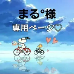まる°様専用ページ♡