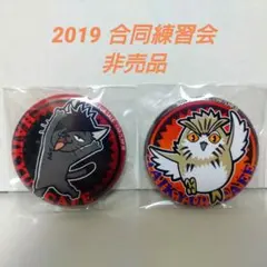ハイキュー!! 合同練習会2019 非売品缶バッジ
