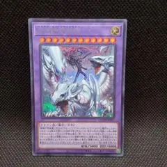 遊戯王 究極竜魔導師 マスター・オブ・ドラゴンマギア シークレット