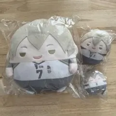 ハイキュー！！　くじメイト　ぬいくじ　C賞　D賞 E賞 ふわコロりん 木葉秋紀