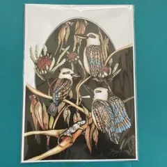 オーストラリア　プリントアート　オーストラリア動物　笑いカワセミ　インテリア