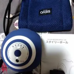 未使用品 ルネサンス スポーツクラブがつくったスタイリーボール SLB