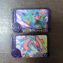 ポケモンフレンダ ボーマンダ2種 スーパートレジャー