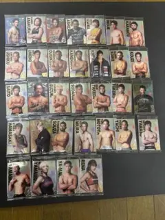 2025年最新】RIZIN ウエハース コンプリートの人気アイテム