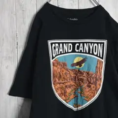 【入手困難】コロンビア Columbia グランドキャニオン Tシャツ 黒
