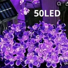 ソーラーライト ガーデニング