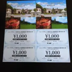 ベルーナグループ 優待割引券 1000円券 4枚セット