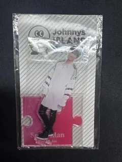 ⑨ SnowMan 向井康二 アクスタ アクリルスタンド 第1弾