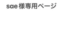 sae様専用ページ