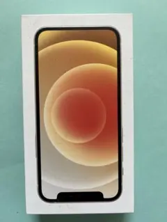 iPhone 12 mini 64GB 美品SIMフリー 初期化済 直ぐ発送