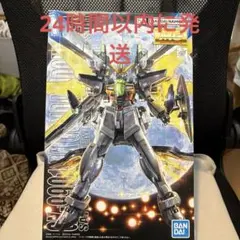 2026年最新】MG 1/100 ガンダムダブルエックスの人気アイテム - メルカリ