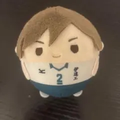 ハイキュー!! 菅原孝支 おまんじゅうにぎにぎマスコット - メルカリ