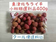 2.小粒含む粗選別特売品400g 鹿児島県産 島津佐多ライチ 農薬不使用