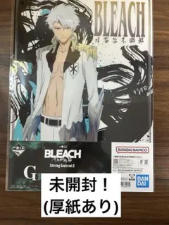 【厚紙あり】 BLEACH 一番くじ G賞 クリアポスター 日番谷冬獅郎