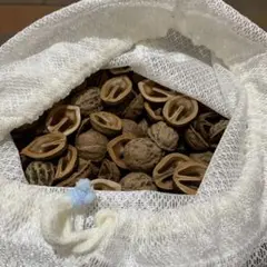 かわいいクルミの殻 ハーフ200個