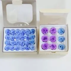 프리저브드 로즈 블루 2 박스 세트 33 휠