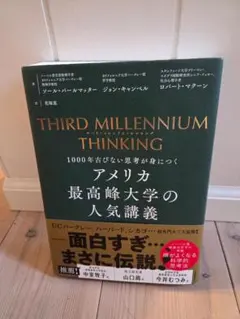 THIRD MILLENNIUM THINKING