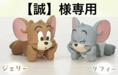 専用