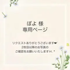 ぽよ様 おまとめ2点