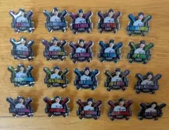 【阪神タイガース】ファンクラブ応援デー2025・ピンバッジ全20種