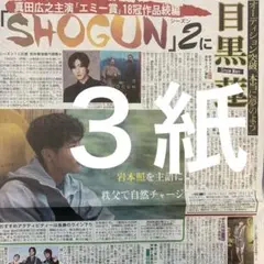 SnowMan 目黒蓮　岩本照　11/19付スポーツ新聞３紙セット