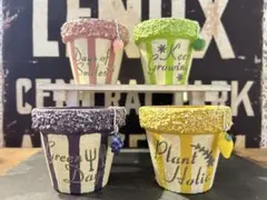 いちご&レモン&ぶどう＆りんご 4点 リメイク鉢♡多肉植物 エケベリア セダム