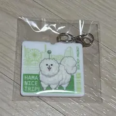 エイトリ 横浜開港祭 チャーム