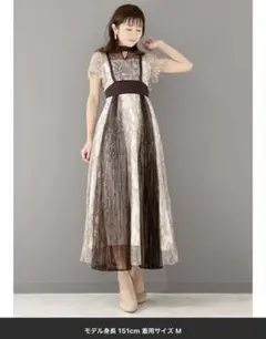 レースプリーツスイッチングドレス