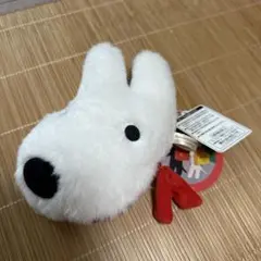 リサのリールパスケース新品
