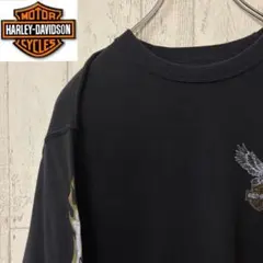 Item thumbnail for item 53a517d4-a364-417a-9eb4-167334214720