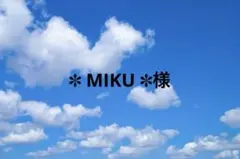 ✽ MIKU ✽様 リクエスト 4点 まとめ商品