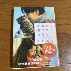 Item thumbnail for item 1b067c1f-d10b-4342-aeb5-29b370ae42a2