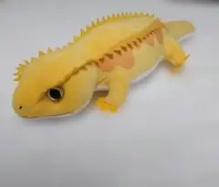匿名配送！レオパのきいちゃん るんるん気分 ST ぬいぐるみ