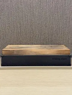 W. P ウィリングプラント 台座（検 botanize goujin）