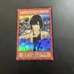 ヒカルの碁 キャラクターカード 塔矢アキラ P2-03