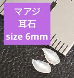 マアジ 耳石 お守りパワーストーン天然石宝石開運受験F25
