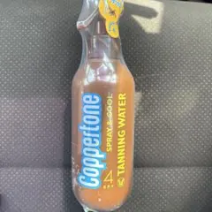 Item thumbnail for item 7a9ea2f3-0b1d-4211-93d6-7a74829803d0