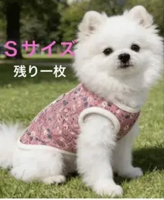 Item thumbnail for item b7a75aa5-0ac7-4616-8981-03324f0b6447