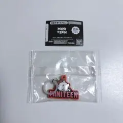 SEVENTEEN ミニティーン めじるしアクセサリー ウジ