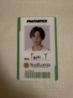 FANTASTICS SUNFLOWER ファンタ アプグレ グッズ 中島颯太 - メルカリ