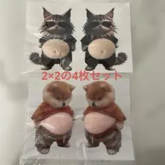 猫と犬のキャラクター ステッカー 2×2枚セット　シール　お腹ぷっくりシール