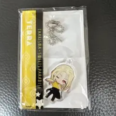 カリスマ スイーツパラダイス アクリルキーホルダー テラ