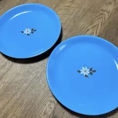 たち吉 大皿 28cm 2枚セット 水色 ワンプレート 盛り皿 金彩 和食器