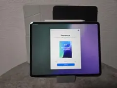 Apple iPad Pro /12.9/第4世代/128G/Cellular